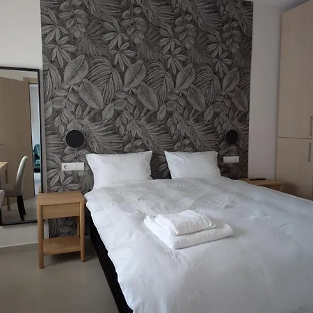 Ekavis House And Terrace *